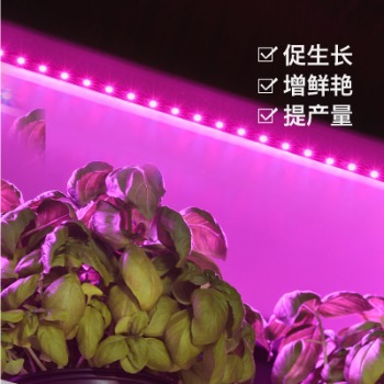 種植植物哪些情況使用植物補(bǔ)光燈？